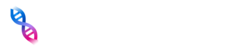 Núcleo Marketing Studio